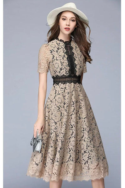 Beige and Black Color Block Lace Sheath Dress Free Shipping
