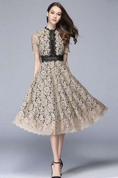 black and beige lace dress Bebe Women's Applique Pencil This long lace short Color Block Lace Dress