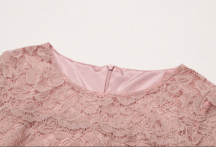 h and m pink lace dress H&M blush long sleeve lace top pleated skirt dress, women size 8, side zip, NWT