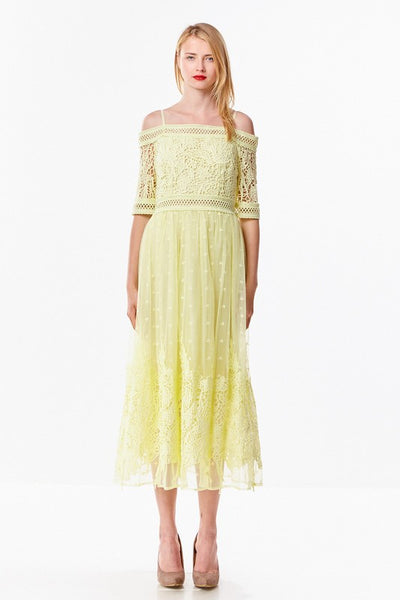ina lace dress INA Floral Lace Mini Dress
