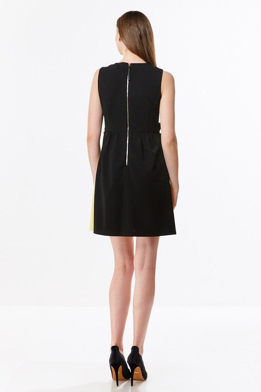 Color Block Mini Dress