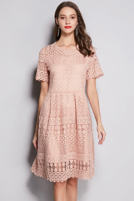 dusty pink lace midi dress Savvy Elegance Notch Neck Floral Lace Panelled Midi Dress in Dusty Pink Pink M
