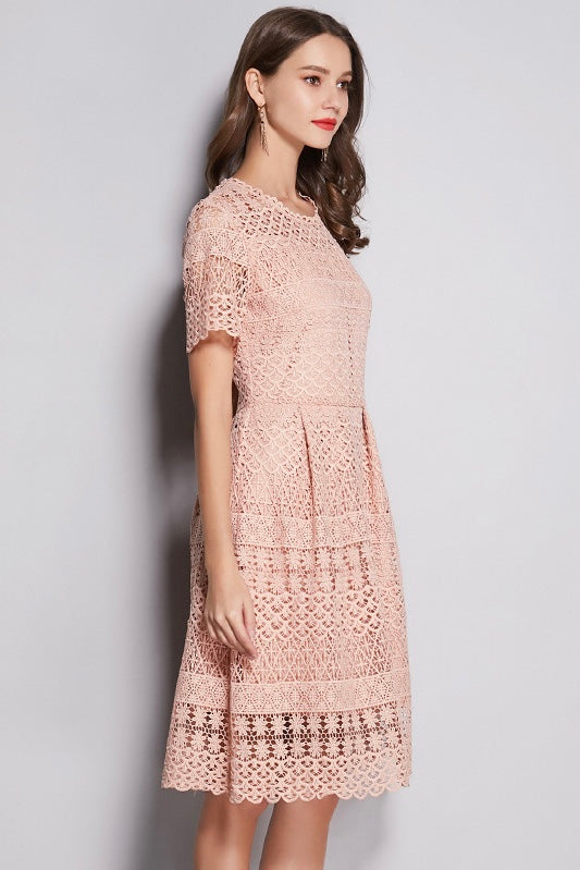 Pink All-Over Lace Midi Dress Free Shipping - Dress Album Pink All-Over Lace Midi Dress Free Shipping - Dress Album