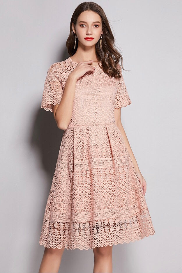 Pink All-Over Lace Midi Dress Free Shipping - Dress Album Pink All-Over Lace Midi Dress Free Shipping - Dress Album