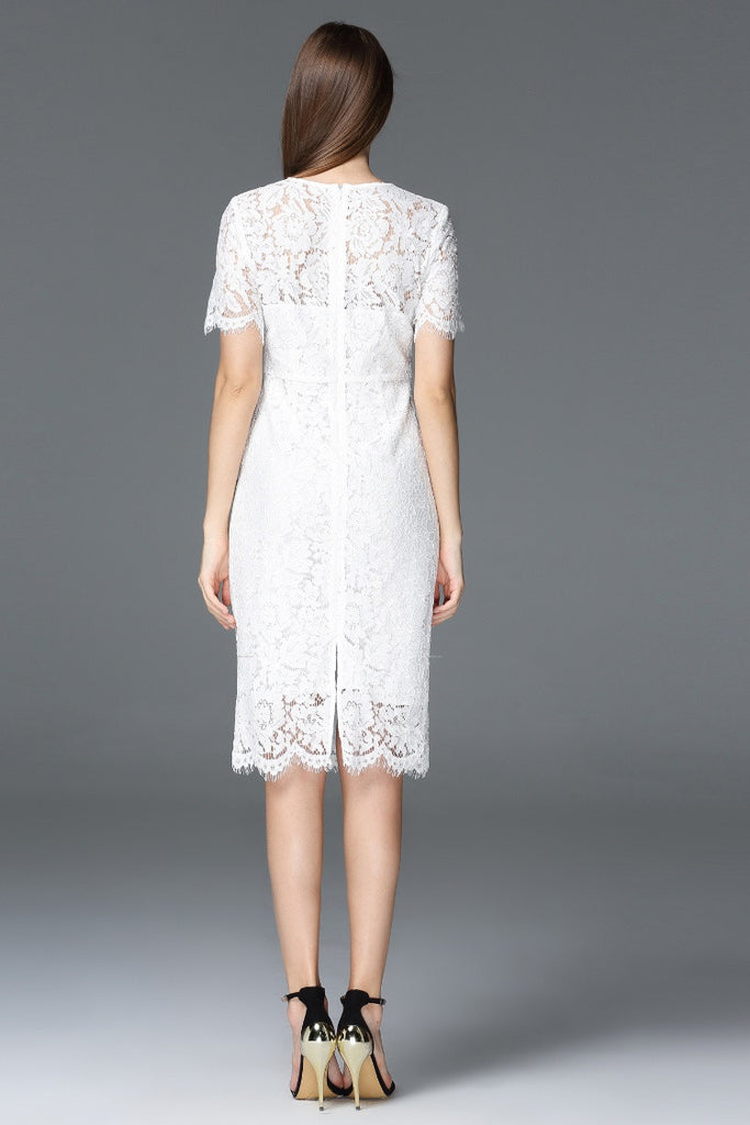 All-Over Lace Short Sleeve Dress - Dress Album