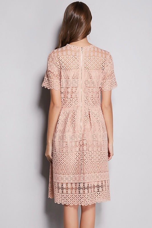 All-Over Lace Midi Dress All-Over Lace Midi Dress