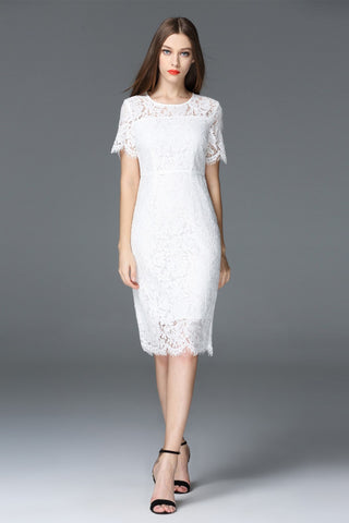 All-Over Lace Short Sleeve Dress - Dress Album