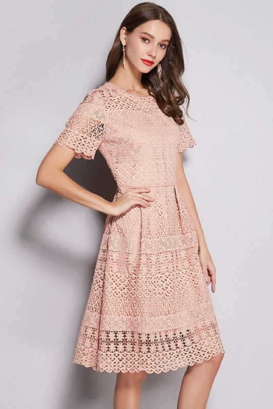 Pink All-Over Lace Midi Dress Free Shipping - Dress Album Pink All-Over Lace Midi Dress Free Shipping - Dress Album