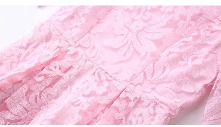 Embroidered Mesh Fit and Flare Dress