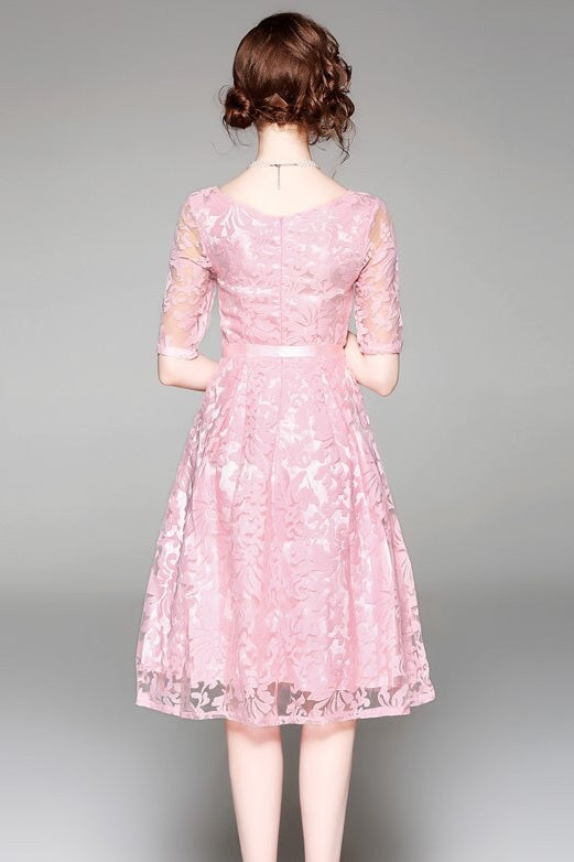 Embroidered Mesh Fit and Flare Dress