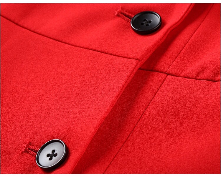 Notched Collar Double Breasted Dress