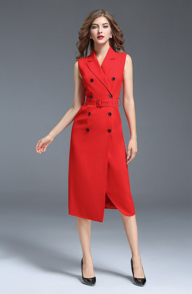 Notched Collar Double Breasted Dress