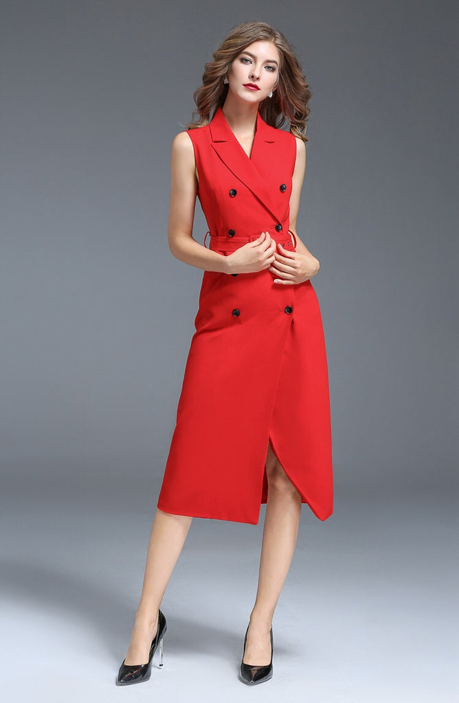 Notched Collar Double Breasted Dress