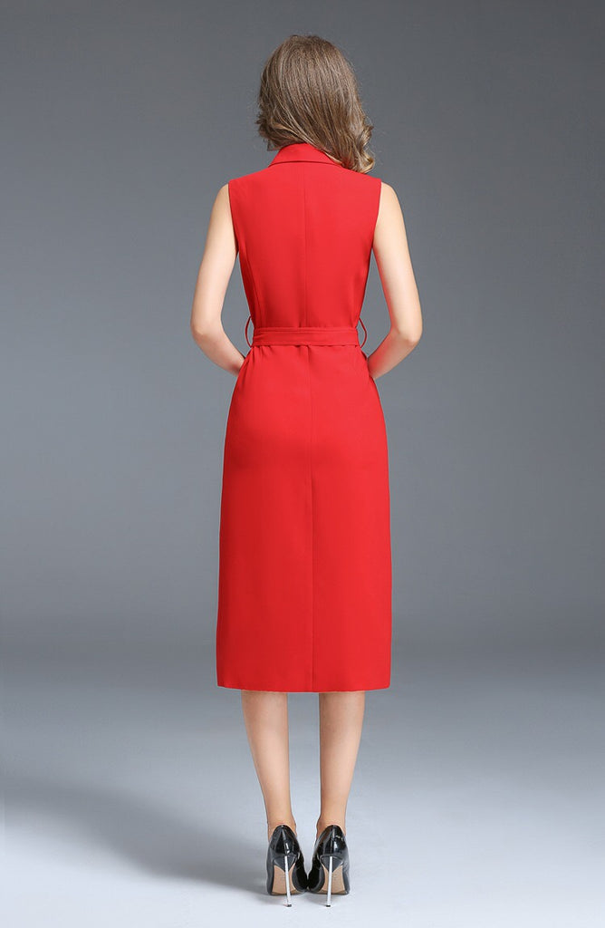 Notched Collar Double Breasted Dress