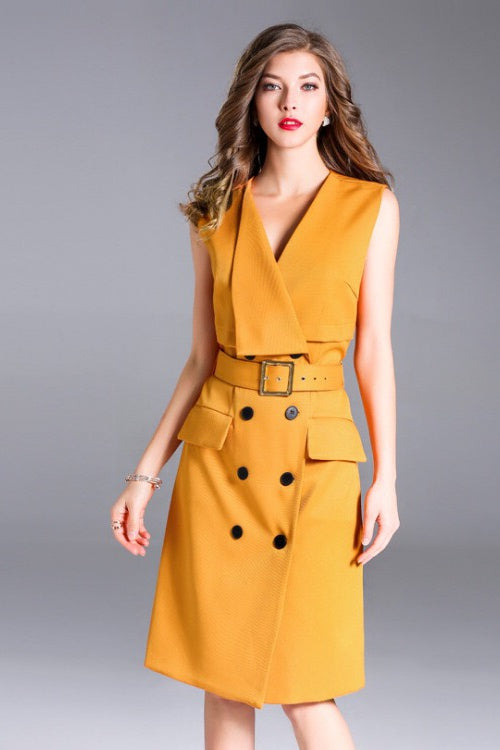 Styled Collar Double Breasted Dress
