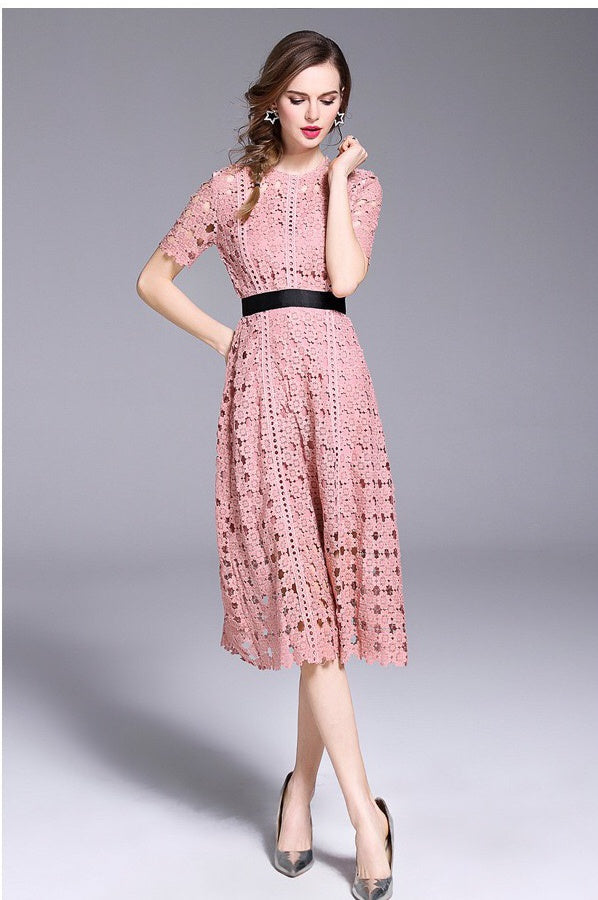 Pink Lace Fit and Flare Dress with Contrast Waist Band