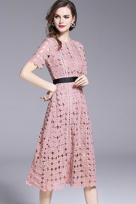 Pink Lace Fit and Flare Dress With Contrast Waist Band