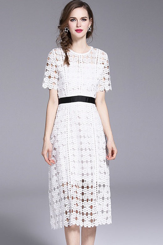 White Lace Fit and Flare Dress With Contrast Waist Band | Dress Album 2XL White Lace Fit and Flare Dress With Contrast Waist Band | Dress Album 2XL