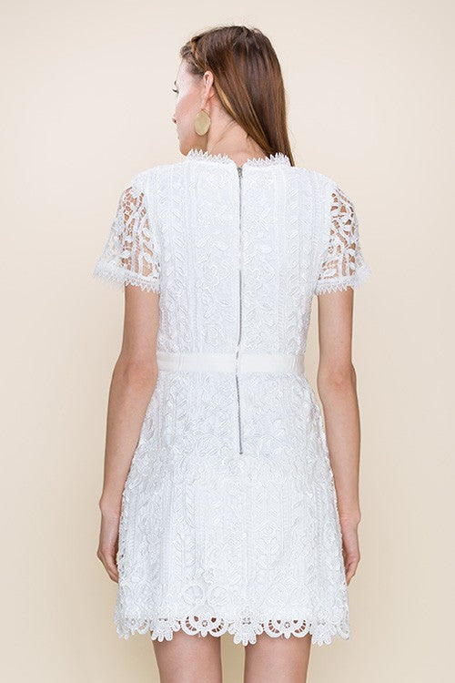 Crochet Lace Detailed Dress - Dress Album